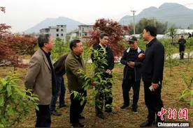 全国政协委员丁时勇：完善民贸民品贷款贴息 缓解企业融资难图片
