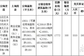 百亿级汽车小镇要来了！白云区成功出让3宗地块图片