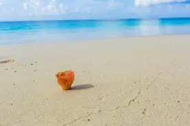 一个人能控制好自己的情绪 便是最好的教养图片