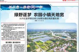 浙报整版·长三角一体化“浙”一年丨长兴虹星桥农园小镇天地宽图片