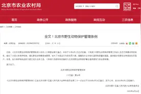 蚯蚓、萤火虫列入保护范围！6月起实施图片
