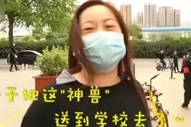 更多优质学位！南山14个在建学校项目名单公布，4个今年完工图片