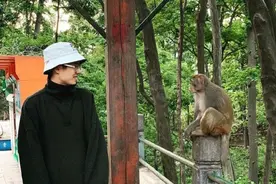 刘昊然参演《我和我的家乡》与公园野猕猴对视图片