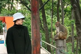 今年国庆档影片《我和我的家乡》贵州拍摄，刘昊然晒与猴子合影图片