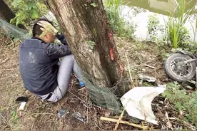 男子骑车分神一头撞树上 身上多处受伤图片