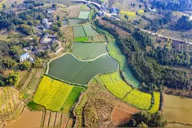 规划建设68个重点项目，成眉交界地带融合发展实施方案出炉图片