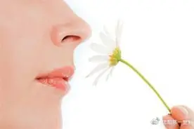 鼻子是我们人体比较不可缺少的器官图片