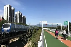 明起早晚高峰，北京部分共享单车免费骑行图片