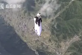 翼装飞行是否安全？专业运动员：事故率比车祸低图片