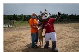 这是撒真狗粮！罗马队给流浪猫狗捐赠一吨动物粮食图片