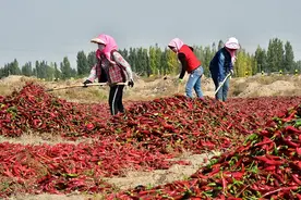 人大代表连年呼吁，食品安全信息追溯体系为何还没建成？图片