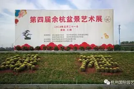 盆景是立体的画、无声的诗……第四届余杭区盆景艺术展来啦图片