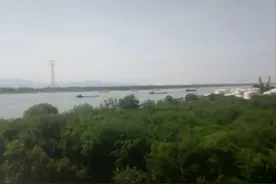 望长江，忆往事图片