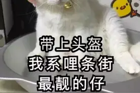 紧急预警丨“头盔大火”背后利益链被骗子盯上！购买需谨慎！！！图片