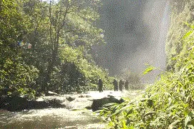 直击热带山岳丛林 侦察兵武装渗透破袭演练就是这么燃图片