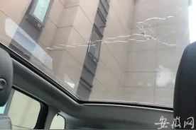 路虎停在车位上天窗莫名破裂了 车旁发现两盆绿萝图片