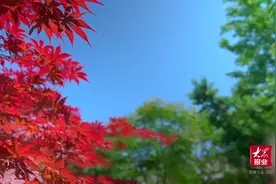 对话携程创始人梁建章：周末游是山东优势区图片