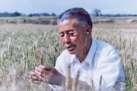 西北农林科技大学李立科：一部麦浪里的金色传奇图片