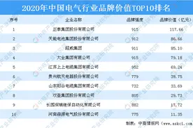 2020年中国电气行业品牌价值TOP10排行榜图片