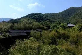国际茶日，了解一下顾渚山的唐代贡茶图片