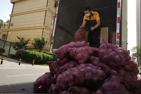 送前男友一吨洋葱的新闻居然火到美国 不过网友画风却“跑偏”……图片