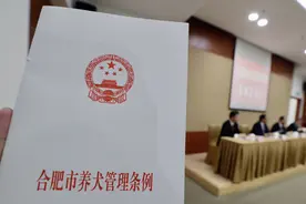 土狗可以养吗？刚刚，合肥定了图片