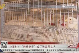 种植+养鸡结合，德州大哥开辟循环农业新模式，村民走上致富路视频封面