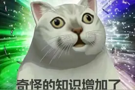 副乳、两胸之间也会得乳腺癌？奇怪的知识又增加了......图片