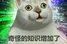 副乳、两胸之间也会得乳腺癌？奇怪的知识又增加了......图片