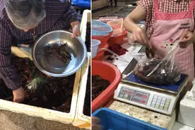 100多元10斤的小龙虾外卖净重竟只有6斤，猫腻太多了图片