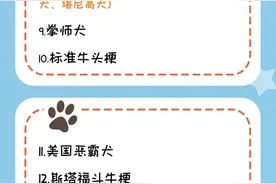 《合肥市养犬管理条例》6月1日起执行 中华田园犬被移除禁养名录图片