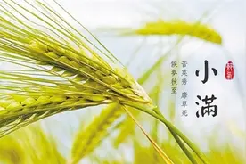 小满节气到！民间祭车神、吃野菜图片