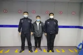 结伙实施入户盗窃 只因三只大鹅图片