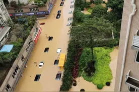 广州多区暴雨致道路、车辆被淹，两区教育局宣布停课图片