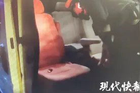 大学老师酒驾被查，当场下跪痛哭：请给我一次机会图片