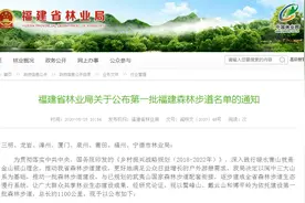 万分期待 | 漳州将新建1条森林步道，贯穿诏安 云霄 平和 南靖 华安，连接龙岩漳平……图片