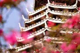 收藏！厦门夏日赏花指南来了！夏天一半的美都在这里！图片