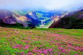 我国有多少种野生动植物、多少自然保护地，你知道吗？图片