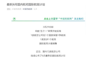 国内8大航空公司公布国际航班6月计划：部分航班飞美俄韩日等地（附航班表）图片