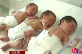 龙凤三胞胎！七台河95后妈妈产下“两男一女”图片