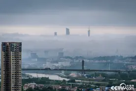 广州出现云墙“小蛮腰”穿越云层恍若仙境图片