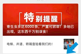 烟台企业主，最全最新最详细，年报攻略来了图片