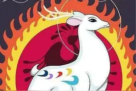 动画片九色鹿回归，古老敦煌要当新文创的“领头鹿”图片