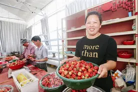 马桥镇新市村：跑出脱贫“加速度”图片