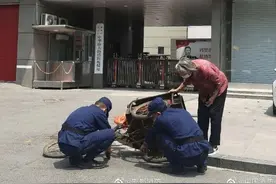 街头暖心！执勤消防员帮老人修车 小小善举暖人心图片