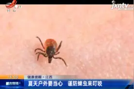 【健康提醒】江西：夏天户外要当心 谨防婢虫来叮咬视频封面