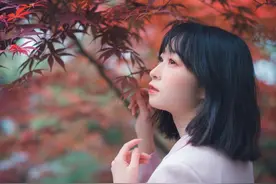 甜爱路的小菊花图片