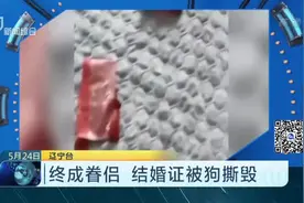 终成眷侣  结婚证被狗撕毁视频封面