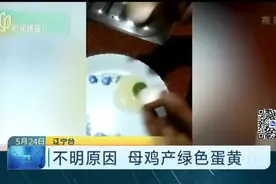 不明原因  母鸡产绿色蛋黄视频封面