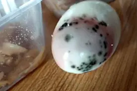 武汉一高中配餐出现虫子、发霉鸡蛋、钢丝球等，校长被免视频封面